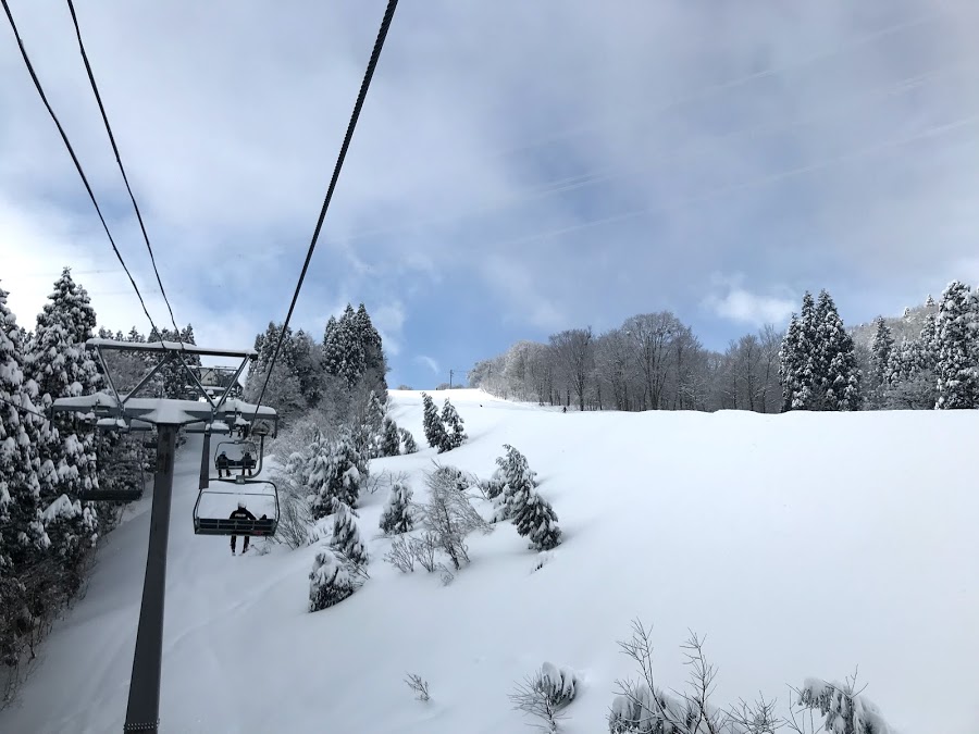 湯沢町 かぐらスキー場ではパウダースノー！