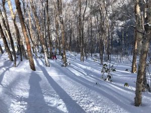 竜王スキーパーク 木落しコース