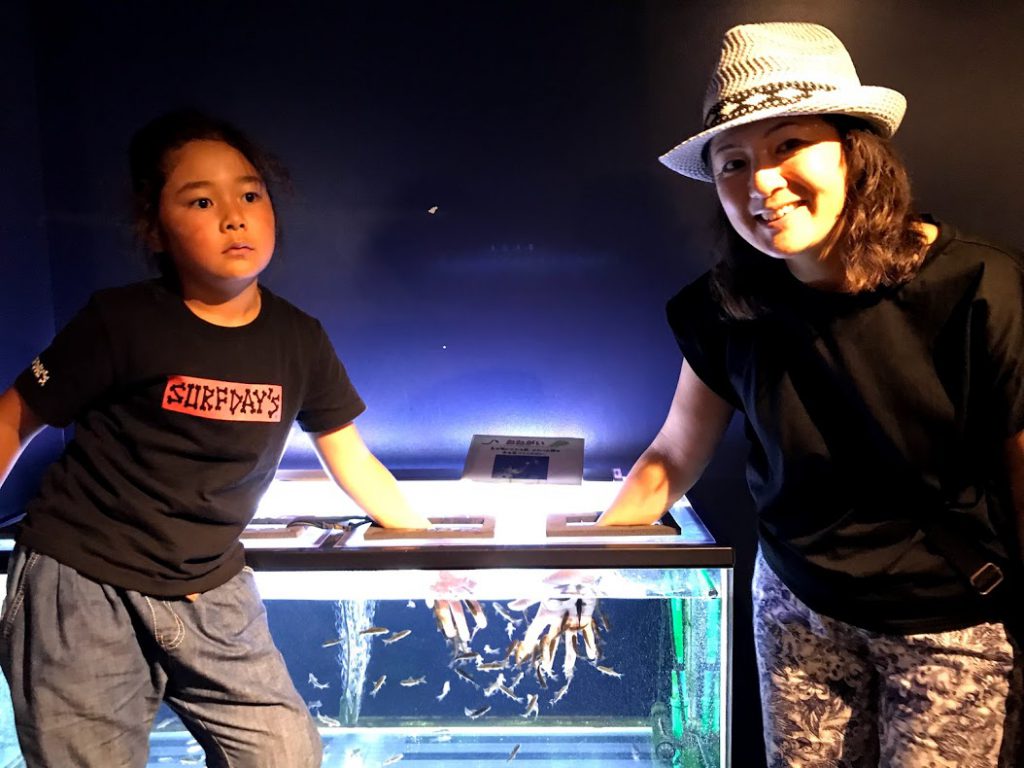 北海道一周車中泊旅7日目：サケのふるさと千歳水族館で観光