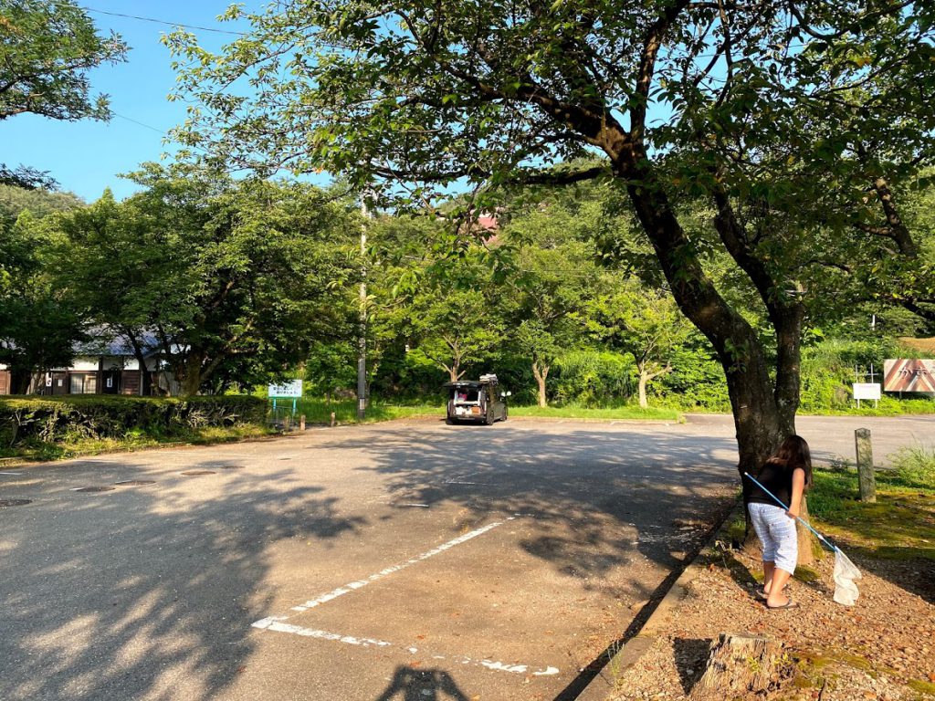 Googlemapで偶然見つけた富山の「桜ヶ池公園」駐車場