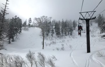 【雪不足2020】湯沢のスキー場で2月終わりに恵の雪！今期最高パウダーゲット！