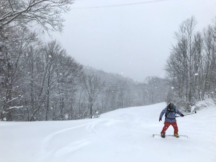 雪不足の湯沢のスキー場にも恵の雪！パウダー滑ってきました！