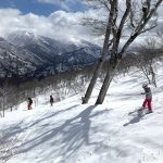 【スキー場車中泊の旅】奥只見丸山スキー場のツリーランは子連れでも楽しめる！