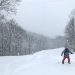 雪不足の湯沢のスキー場にも恵の雪！パウダー滑ってきました！